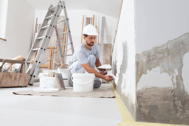 Best Drywall Sanding and Smoothing  in Louisvle, IL